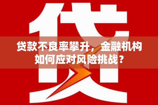 安乡贷款不良率攀升，金融机构如何应对风险挑战？