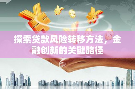安乡探索贷款风险转移方法，金融创新的关键路径