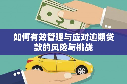 安乡如何有效管理与应对逾期贷款的风险与挑战