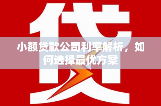 安乡小额贷款公司利率解析，如何选择最优方案