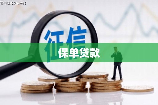 安乡保单贷款