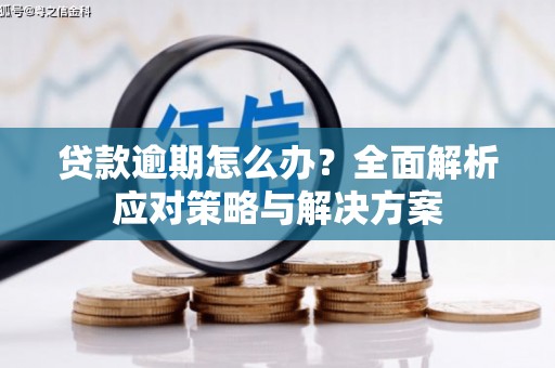 安乡贷款逾期怎么办？全面解析应对策略与解决方案