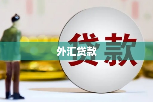 安乡外汇贷款