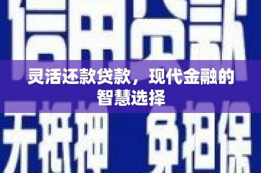 安乡灵活还款贷款，现代金融的智慧选择