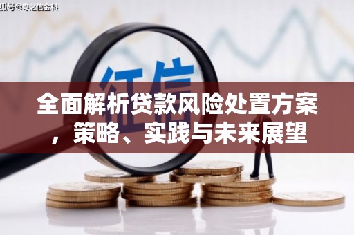 安乡全面解析贷款风险处置方案，策略、实践与未来展望
