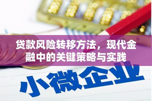 安乡贷款风险转移方法，现代金融中的关键策略与实践