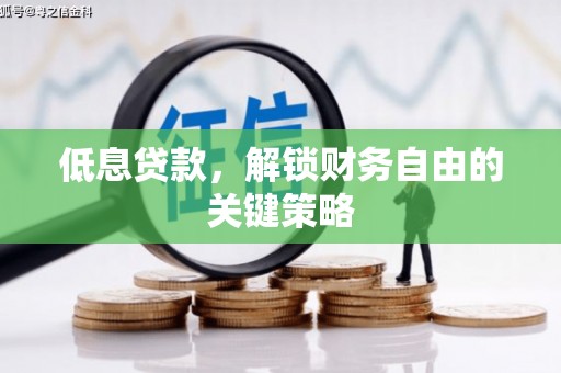 安乡低息贷款，解锁财务自由的关键策略