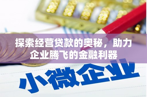 安乡探索经营贷款的奥秘，助力企业腾飞的金融利器