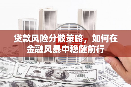 安乡贷款风险分散策略，如何在金融风暴中稳健前行