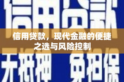 安乡信用贷款，现代金融的便捷之选与风险控制