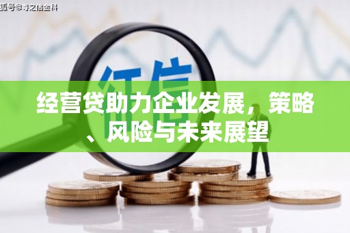 安乡经营贷助力企业发展，策略、风险与未来展望