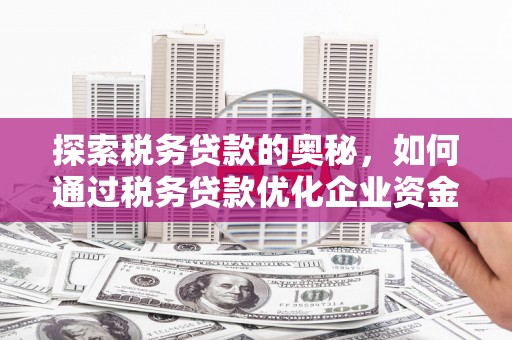 安乡探索税务贷款的奥秘，如何通过税务贷款优化企业资金流