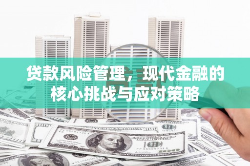 安乡贷款风险管理，现代金融的核心挑战与应对策略
