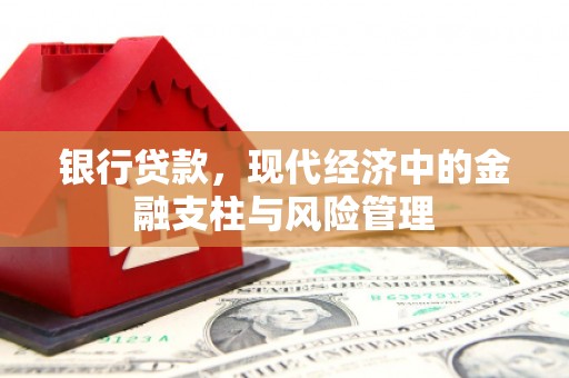 安乡银行贷款，现代经济中的金融支柱与风险管理