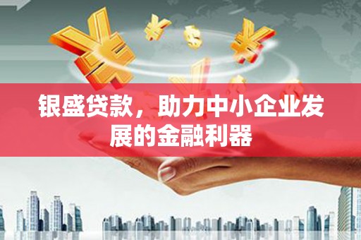 安乡银盛贷款，助力中小企业发展的金融利器