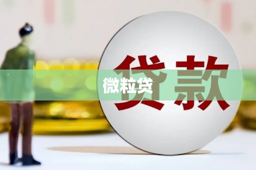 安乡微粒贷