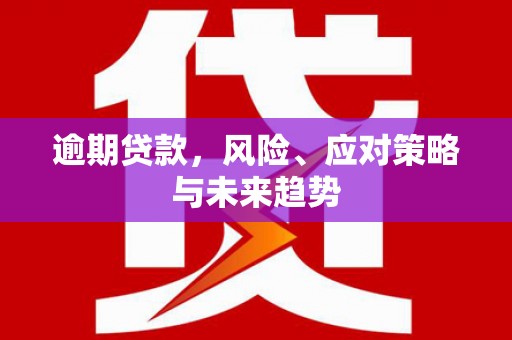 安乡逾期贷款，风险、应对策略与未来趋势