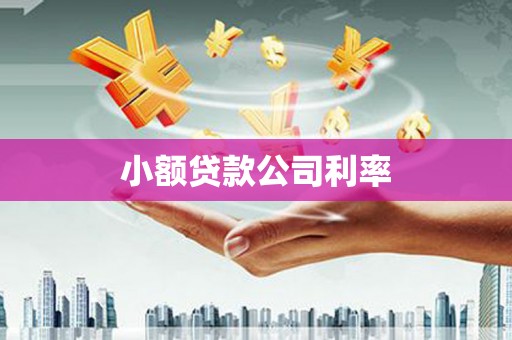 安乡小额贷款公司利率
