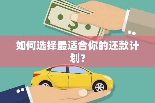 安乡如何选择最适合你的还款计划？
