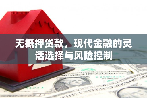 安乡无抵押贷款，现代金融的灵活选择与风险控制