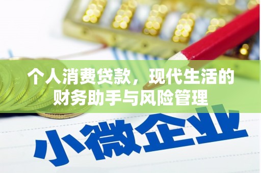 安乡个人消费贷款，现代生活的财务助手与风险管理
