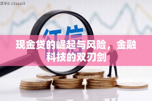 安乡现金贷的崛起与风险，金融科技的双刃剑