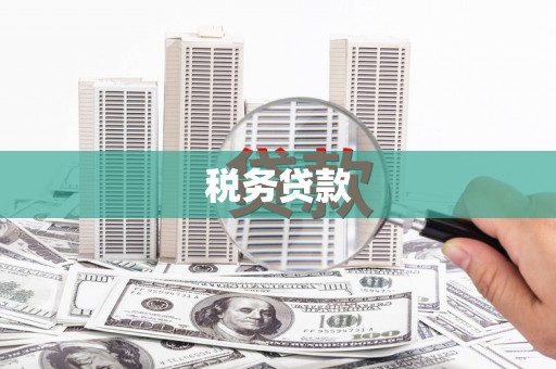 安乡税务贷款