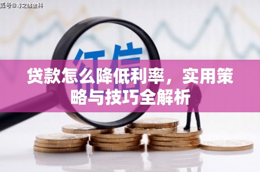 安乡贷款怎么降低利率，实用策略与技巧全解析