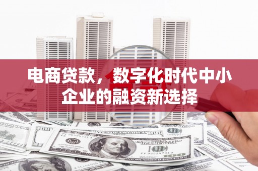 安乡电商贷款，数字化时代中小企业的融资新选择