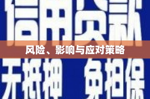 安乡风险、影响与应对策略