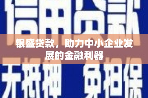 安乡银盛贷款，助力中小企业发展的金融利器