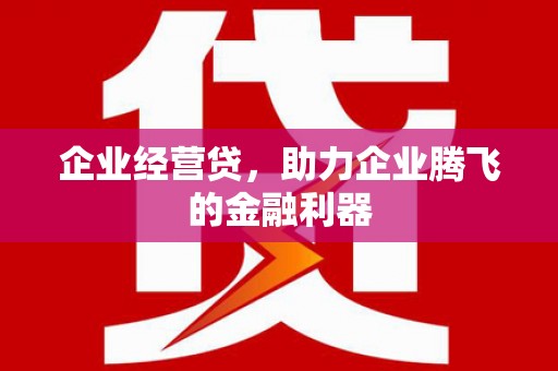 安乡企业经营贷，助力企业腾飞的金融利器