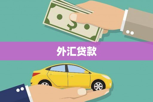 安乡外汇贷款