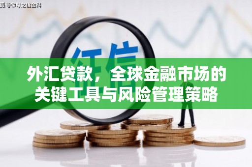 安乡外汇贷款，全球金融市场的关键工具与风险管理策略
