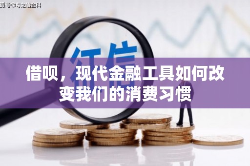 安乡借呗，现代金融工具如何改变我们的消费习惯