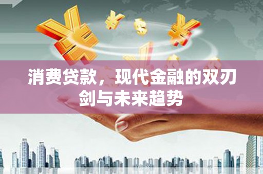 安乡消费贷款，现代金融的双刃剑与未来趋势