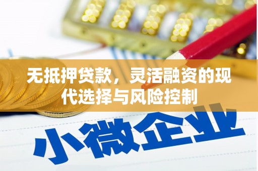 安乡无抵押贷款，灵活融资的现代选择与风险控制
