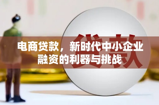 安乡电商贷款，新时代中小企业融资的利器与挑战