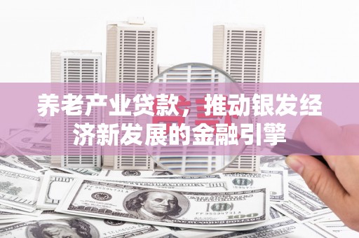 安乡养老产业贷款，推动银发经济新发展的金融引擎