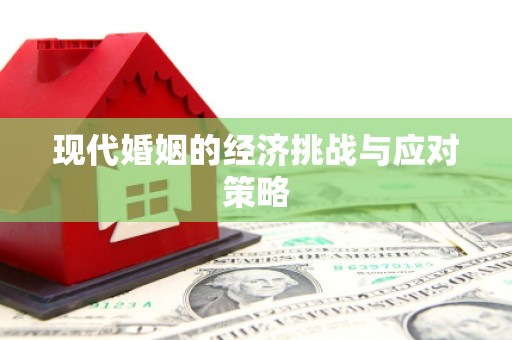 安乡现代婚姻的经济挑战与应对策略