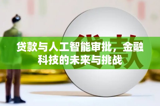 安乡贷款与人工智能审批，金融科技的未来与挑战