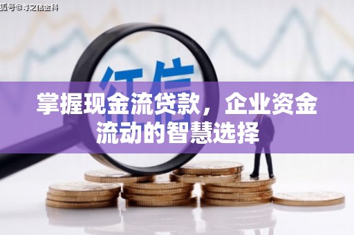 安乡掌握现金流贷款，企业资金流动的智慧选择