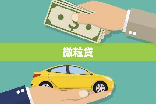 安乡微粒贷