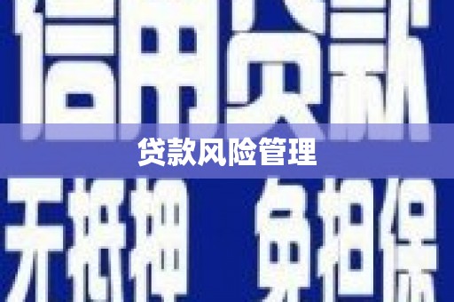 安乡贷款风险管理