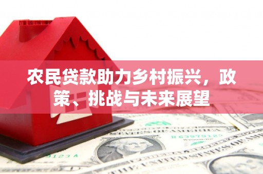 安乡农民贷款助力乡村振兴，政策、挑战与未来展望