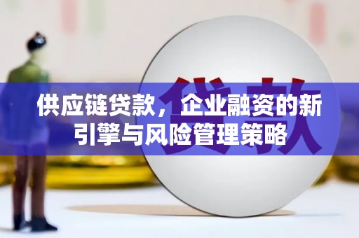 安乡供应链贷款，企业融资的新引擎与风险管理策略