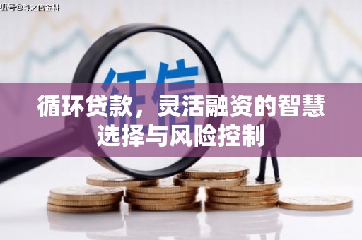 安乡循环贷款，灵活融资的智慧选择与风险控制