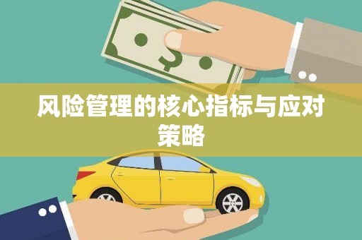 安乡风险管理的核心指标与应对策略