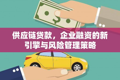 安乡供应链贷款，企业融资的新引擎与风险管理策略