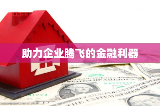 安乡助力企业腾飞的金融利器